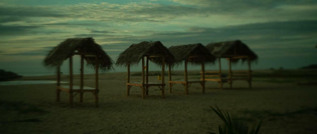 Whisky Point Resort Arugam Bay Dış mekan fotoğraf